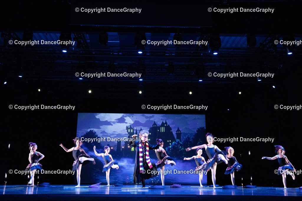 GPHY6257 | DanceGraphy - Realisiert mit Pictrs.com