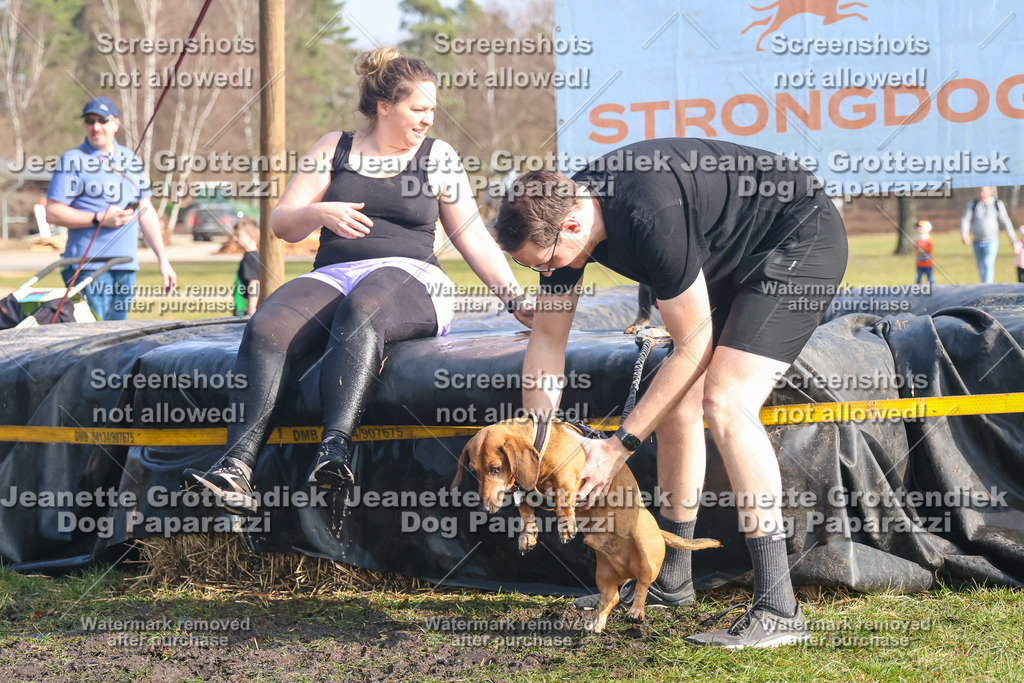 Dog Paparazzi - Strongdog North Mrz26-2083 | Dog Paparazzi Jeanette Grottendiek Fotografie & Videografie - Realisiert mit Pictrs.com