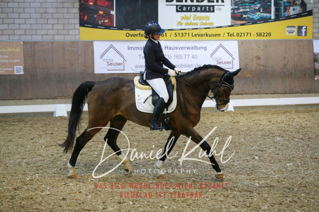 IMG_3018 | Turnierfotos kaufen im Webshop von Daniel Kuhl Photography – entdecke professionelle Reitsportfotos aus Turnieren & Events. Hochwertige Turnierbilder online bestellen & sichern. Jetzt Fotos von Reitsportturnieren kaufen!
