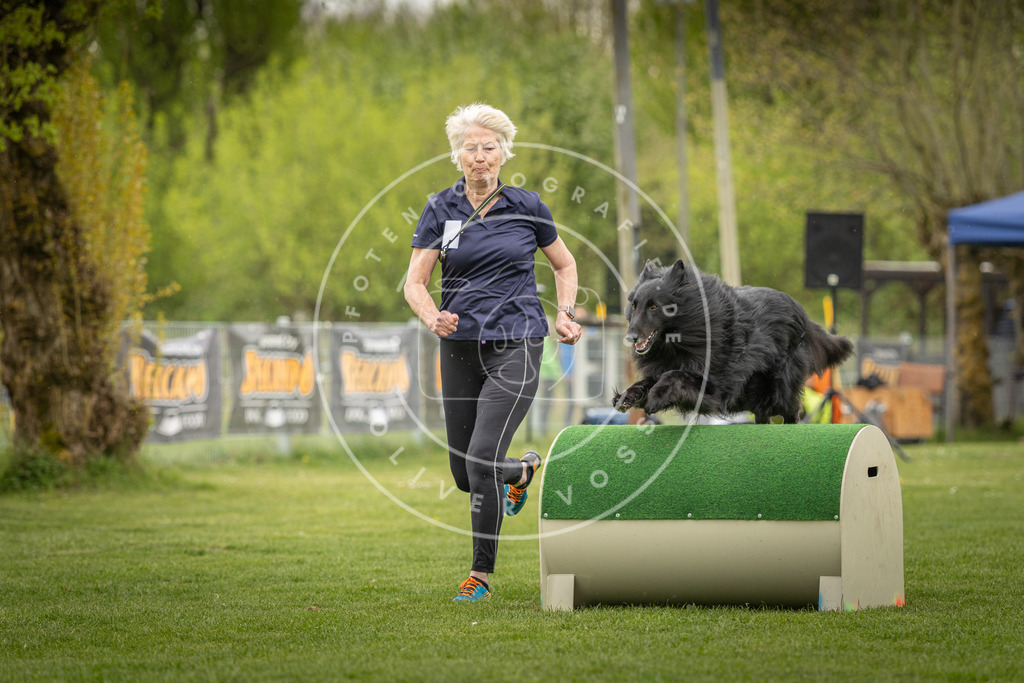 Pfotenfotografie_DV3A2801 | Hundefotografie, Tierfotograf, Pfotenfotografie, Fotoshooting Hund, Hunde Portrait, Hundesport, Hundeportraits, Heideshooting, Hunde, Sportfotograf, Hundefotograf, Turnierhundsport, THS,  - Realisiert mit Pictrs.com