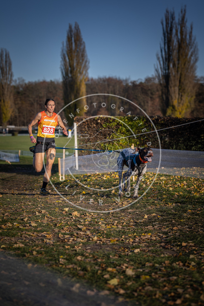 CaniXpix_DV3A3396 | Hundefotografie, Tierfotograf, Pfotenfotografie, Fotoshooting Hund, Hunde Portrait, Hundesport, Hundeportraits, Heideshooting, Hunde, Sportfotograf, Hundefotograf, Turnierhundsport, THS,  - Realisiert mit Pictrs.com