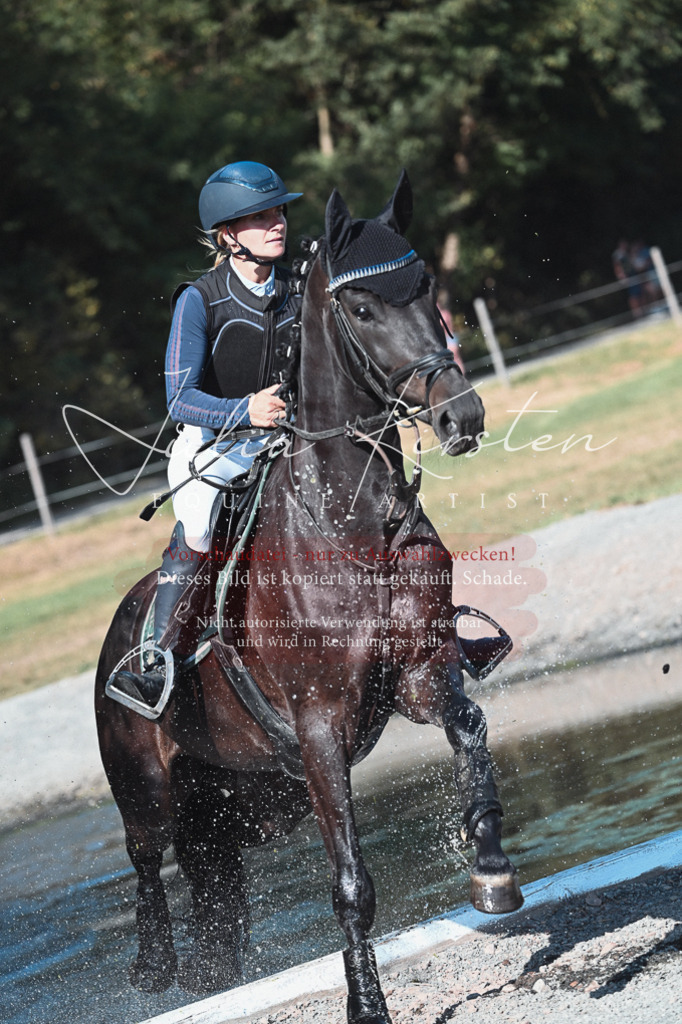 DSC_8806 | Pferde- und Turnierfotografie in Westsachsen. Pferdeportraits, Auftragszeichnungen und intuitive Kunst.