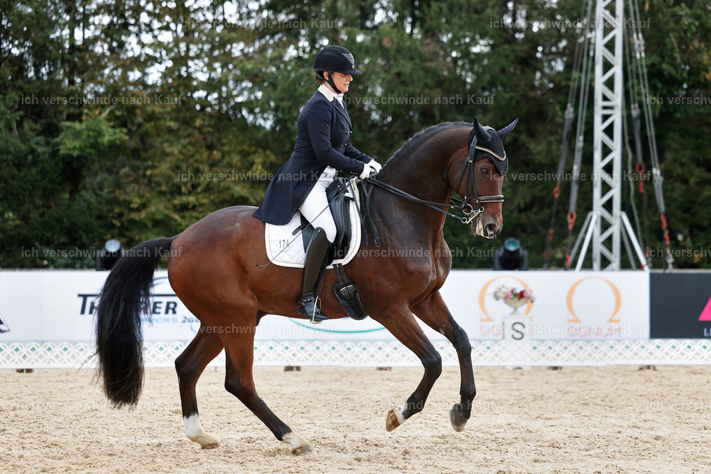 6-174-AMATUER-DRESSUR S_  -StoibPH-3491 | working equitationturnier fotograf videograf stoibphotography marixx film working equitation deutschland reitsport turnierfotografie eventfotografie equestrian events