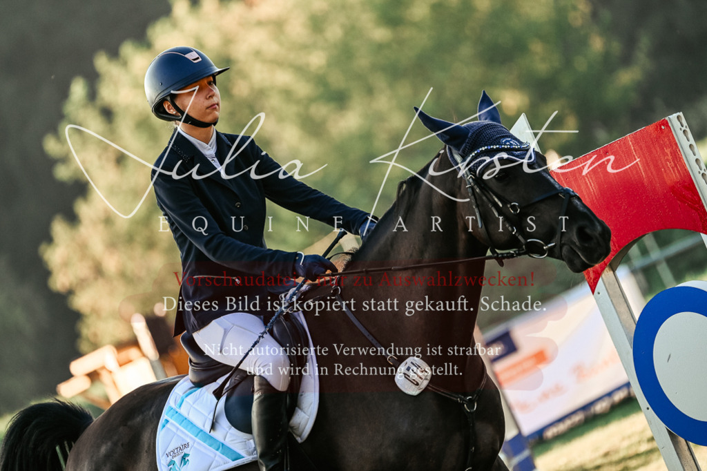DSC_3801 | Pferde- und Turnierfotografie in Westsachsen. Pferdeportraits, Auftragszeichnungen und intuitive Kunst.