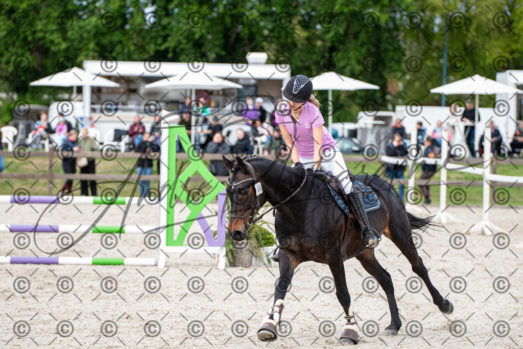 KPT_6954 | andre_photographic