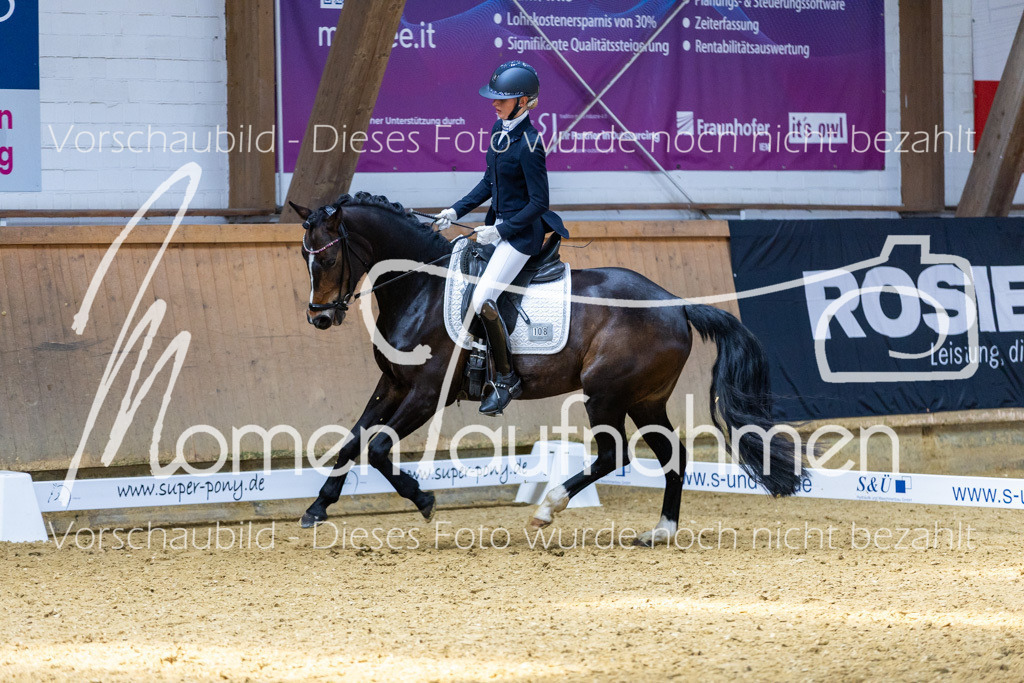 Sth-LPO25-DrR-L-293 | MomenTaufnahmen Pferdesportfotos