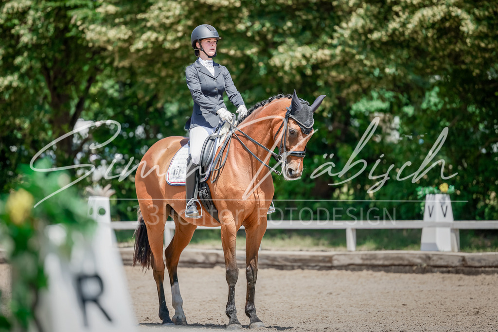 20250621-_3LI7538 | Tierfotografie Pferde, Hunde, Katzen, Haustiere.
Turnierfotografie Reitturniere, Reiten, Springreiten, Dressur in Hanau, dem Main-Kinzig-Kreis und dem Rhein-Main- Gebiet um Frankfurt