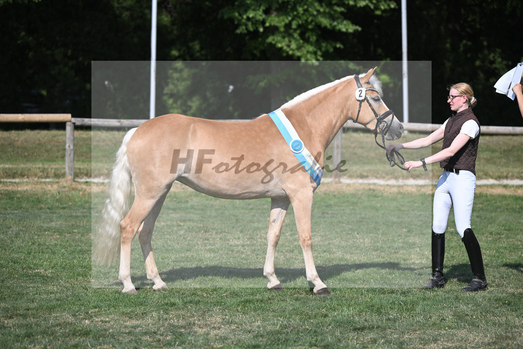 Kat-Nr. 2 Larissa_Weber_20231959 | hf-fotografie - Realisiert mit Pictrs.com