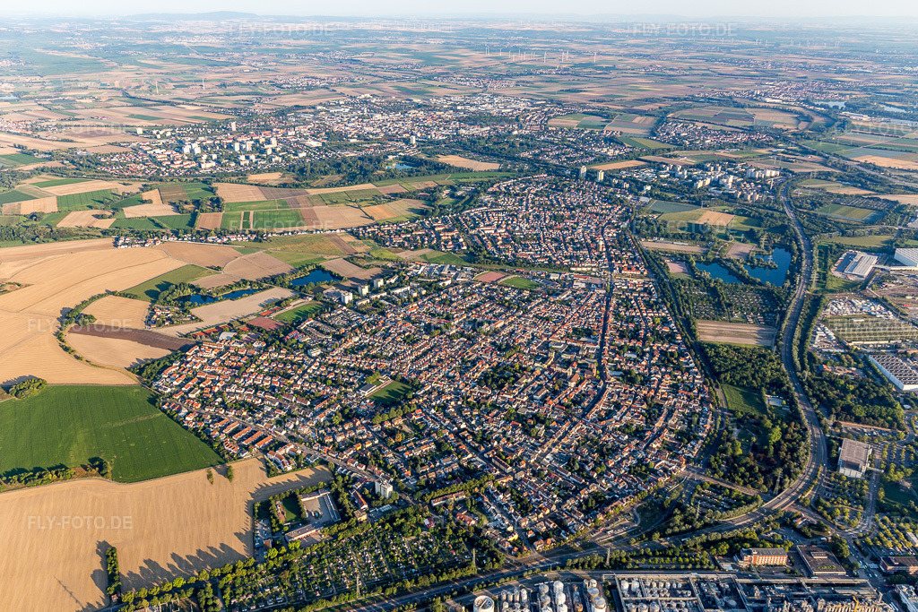 Luftbild: Ortsansicht am Rande von landwirtschaftlichen Feldern und Nutzflächen in Oppau im Ortsteil Oppau in Ludwigshafen im Bundesland Rheinland-Pfalz in Deutschland. Foto: IMG_109548.jpg vom 31.07.2018 durch Werner Riehm/FLY-FOTO.de