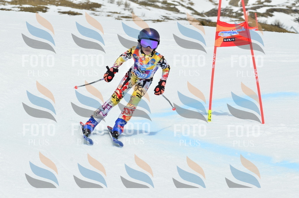 _ELE2937 | holidayphoto