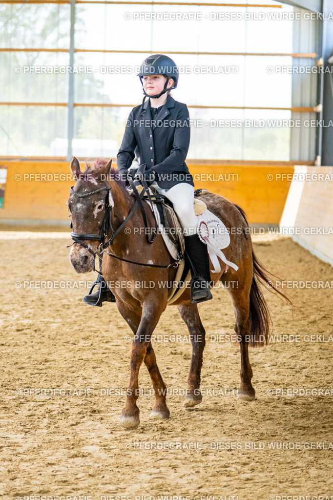 DSC01522 | Pferdegrafie