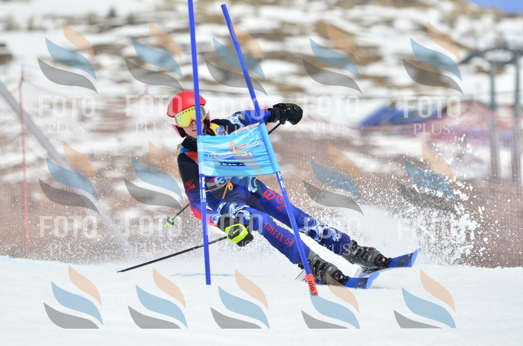 _ELE2521 | holidayphoto