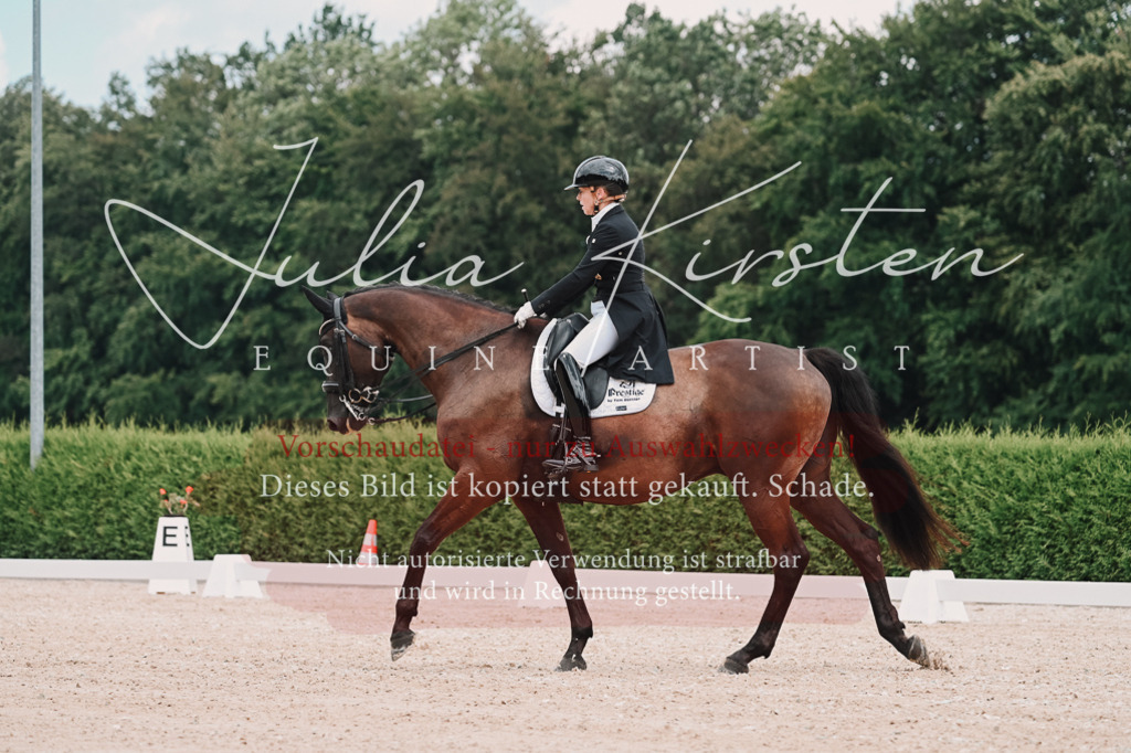 DSC_4161 | Pferde- und Turnierfotografie in Westsachsen. Pferdeportraits, Auftragszeichnungen und intuitive Kunst.