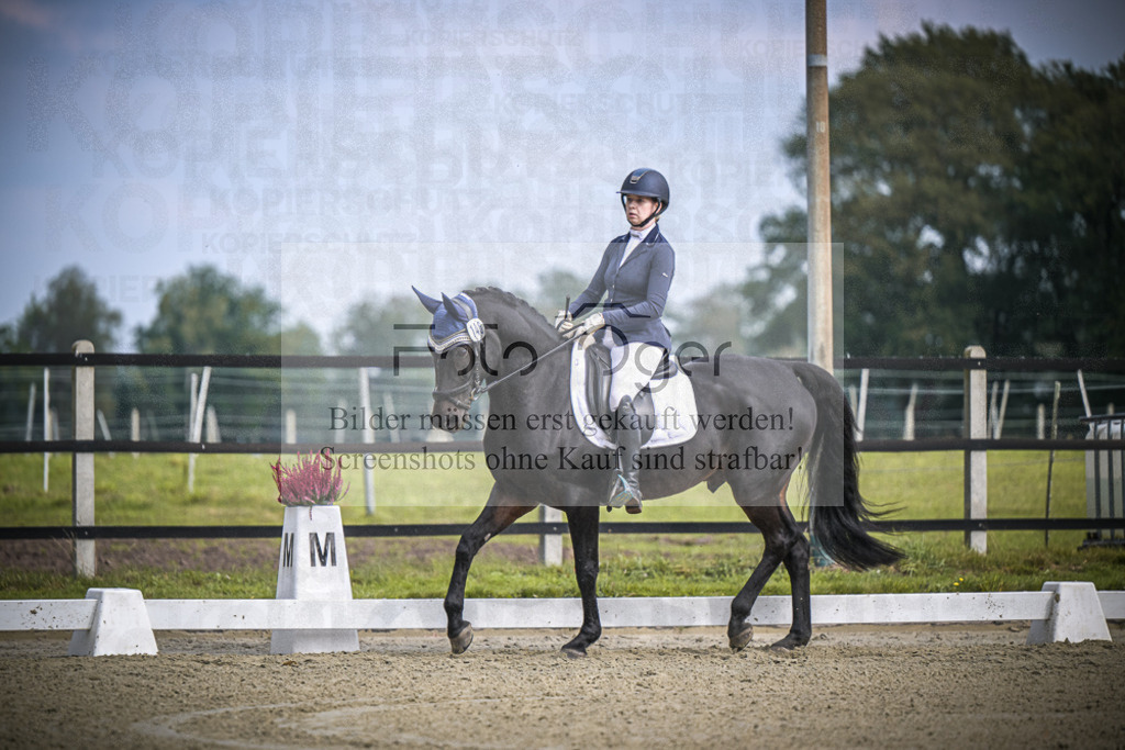 DOS_B602 | Entdecke hochwertige Reitturnierfotos von Foto Oger. Professionell, emotional und authentisch – jetzt Lieblingsmomente im Shop bestellen.Deutschlandweite Turnierfotografie. - Realisiert mit Pictrs.com