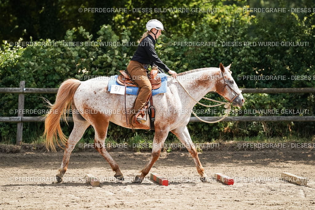 DSC06413 | Pferdegrafie