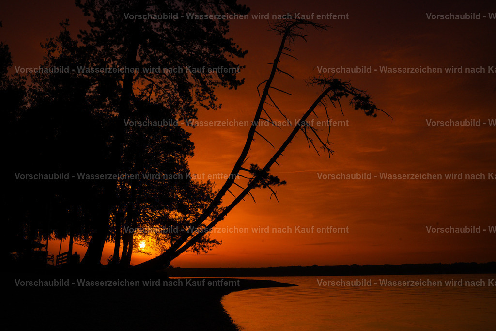 DSC08093 | marcuslinek