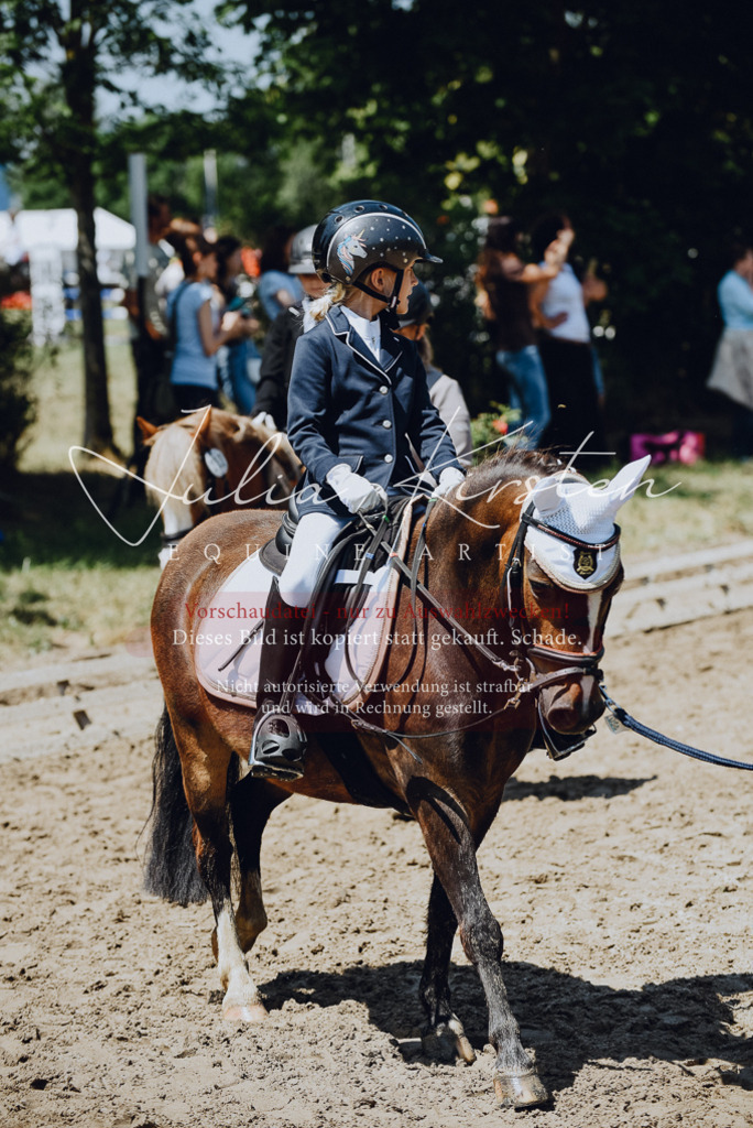 DSC_2181 | Pferde- und Turnierfotografie in Westsachsen. Pferdeportraits, Auftragszeichnungen und intuitive Kunst.
