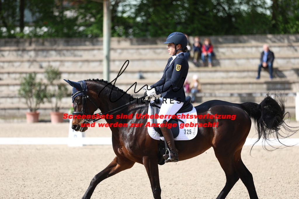 A40A3827 | lmwpictures - Realisiert mit Pictrs.com