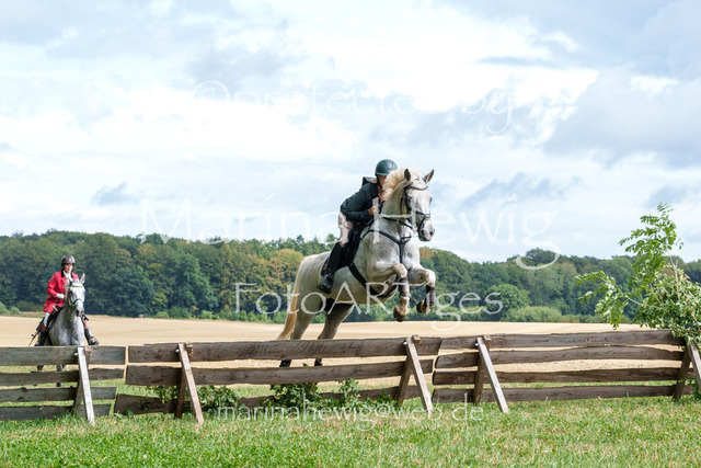 Jagd Knoop 26_MarinaHewigMCH02576 | Fotografie, FotoArt, PferdesportArt, Pferdesportfotografie, Landschaftsfotografie, Reisefotografie, Reise, Pferde - Realisiert mit Pictrs.com