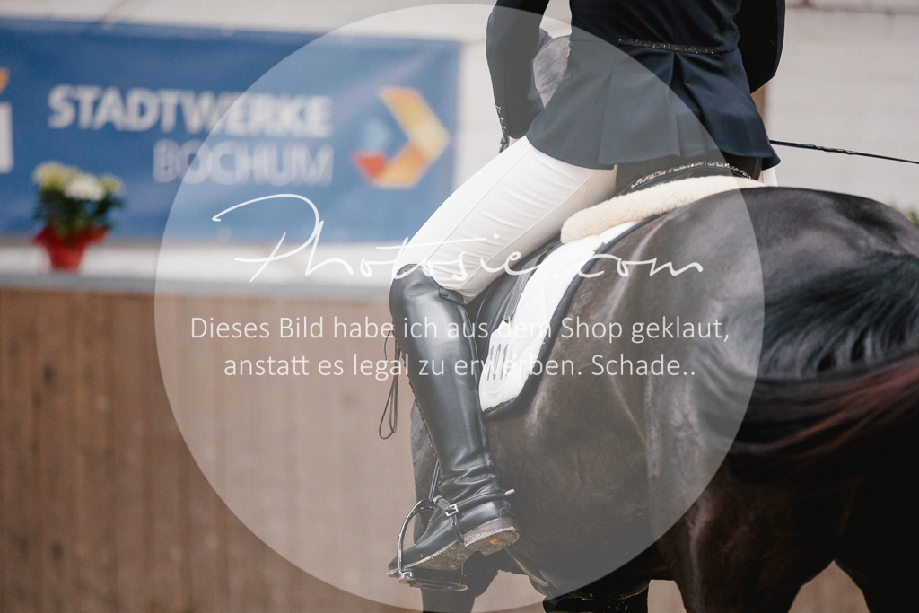 3I6A6164 | Stimmungsvolle Portraits und Reitsportfotografie im Ruhrgebiet und im Münsterland.

Pferdefotografie, Hundefotografie, Tierfotografie, Reportagen, Portraits von Tier und Mensch, Turnierfotografie in Bochum, Recklinghausen, Marl, Haltern am See, Dülmen.. - Realisiert mit Pictrs.com