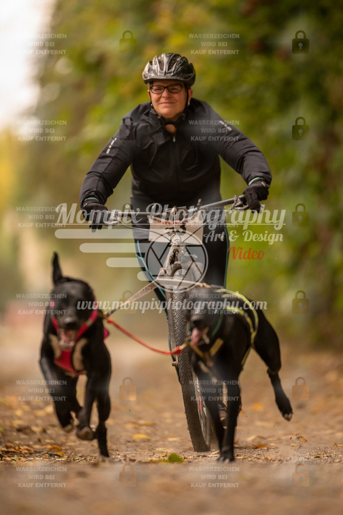 CDLBDB_14_10_2023_Samedi-40 | PayLife