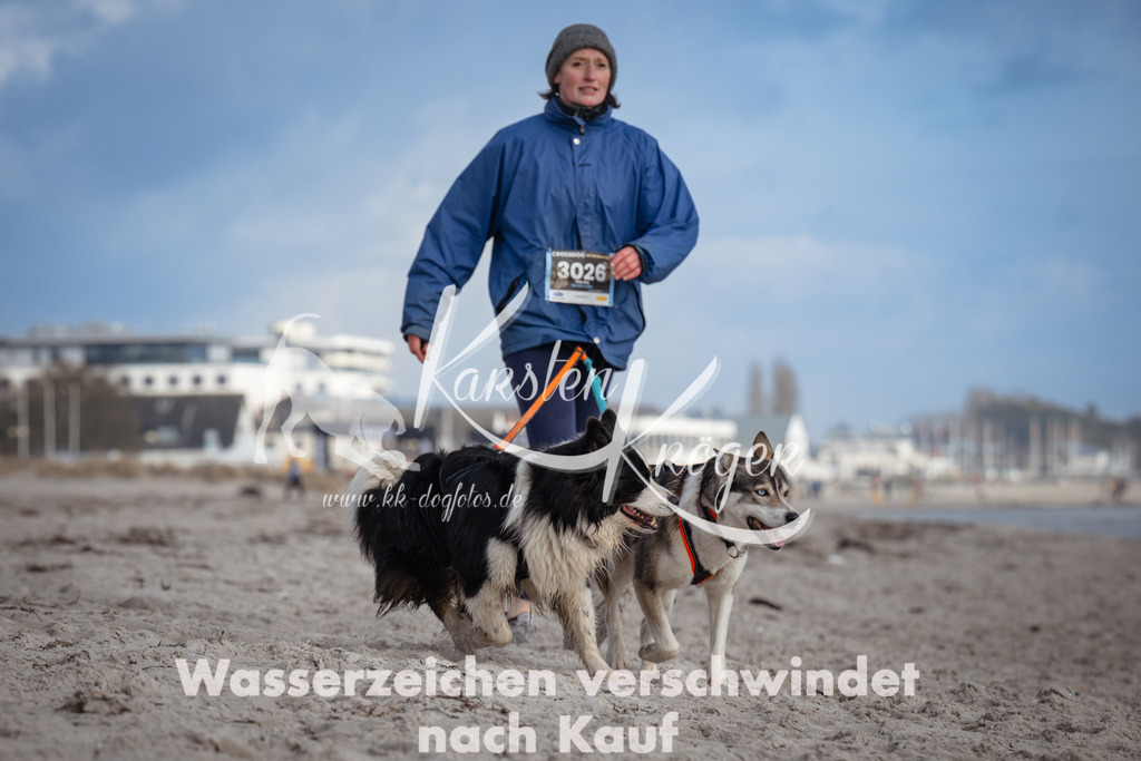 1236_ZZ97741 | kk-dogfotos