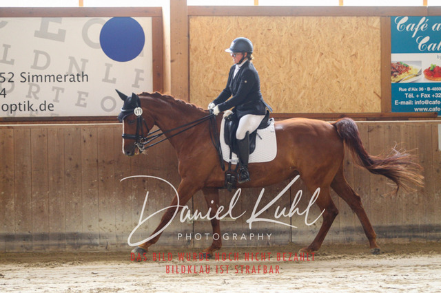 DKP44581 | Turniersportfotografie; Pferdefotografie; Dressurfotografie