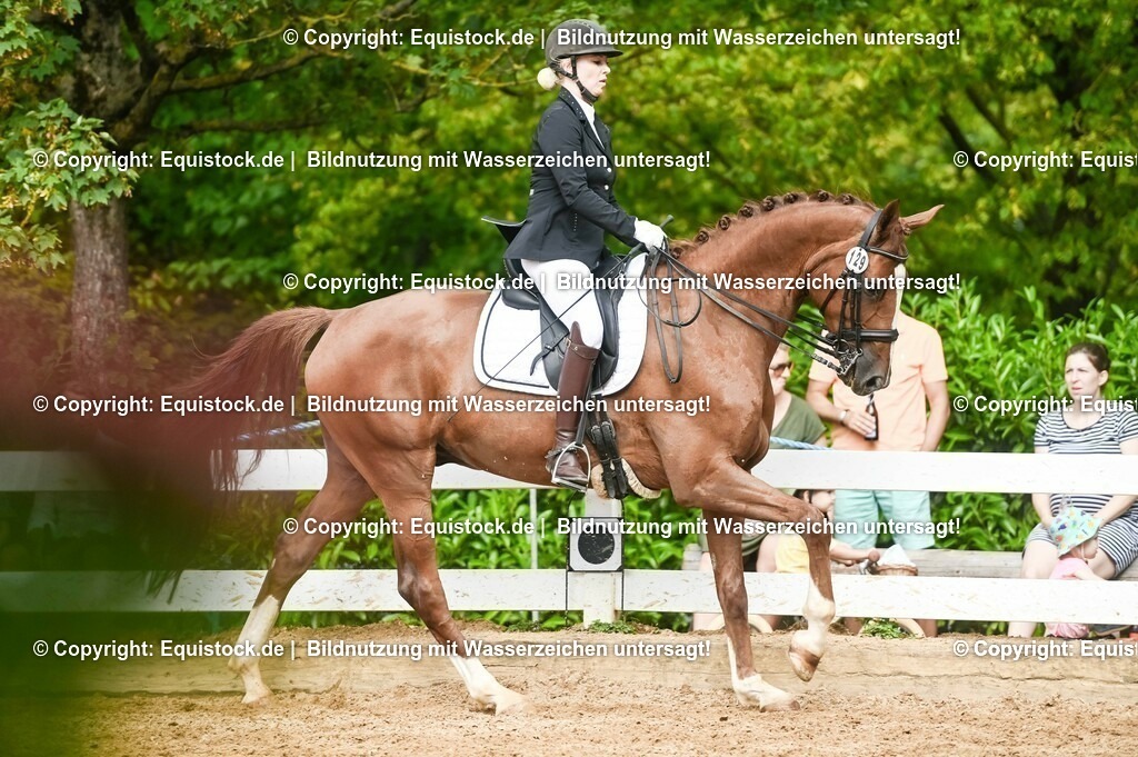 20230716_01_Dressurprüfung Kl.M_0548 | equistock