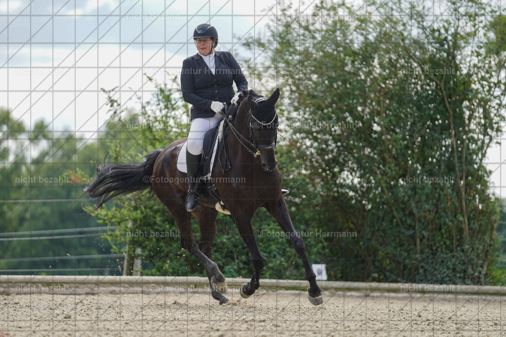 20230826-FAH05774 | Forstinning, 2023, Dressurturnier, Turniersportbilder, Turnierfotografen Bayern, Fotoagentur Herrmann, Reitsportfotografie, Turnierbilder