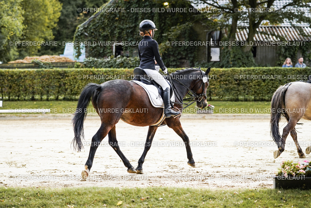 DSC05202 | Pferdegrafie