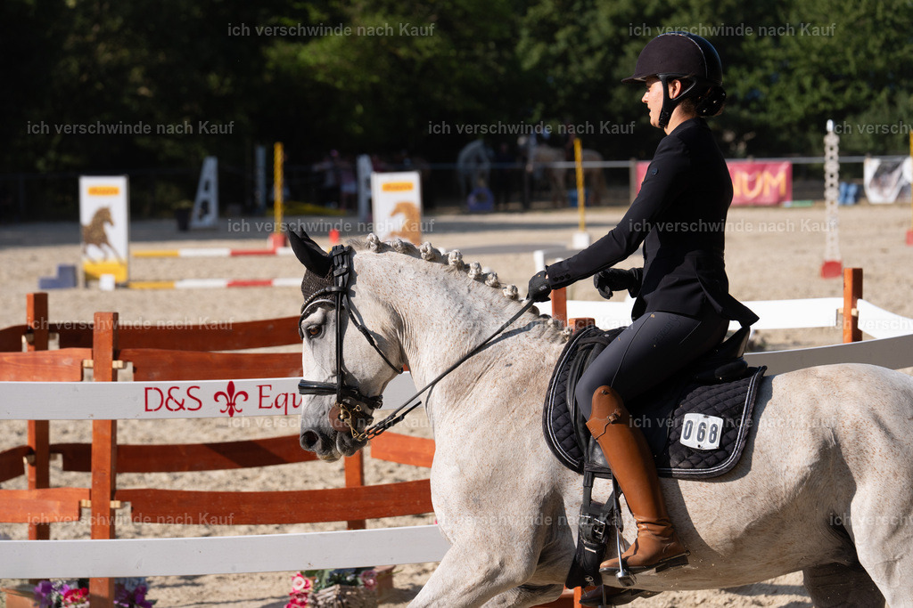 WS-WM_SP_68_SinaFilmArt_IN09378 | working equitationturnier fotograf videograf stoibphotography marixx film working equitation deutschland reitsport turnierfotografie eventfotografie equestrian events