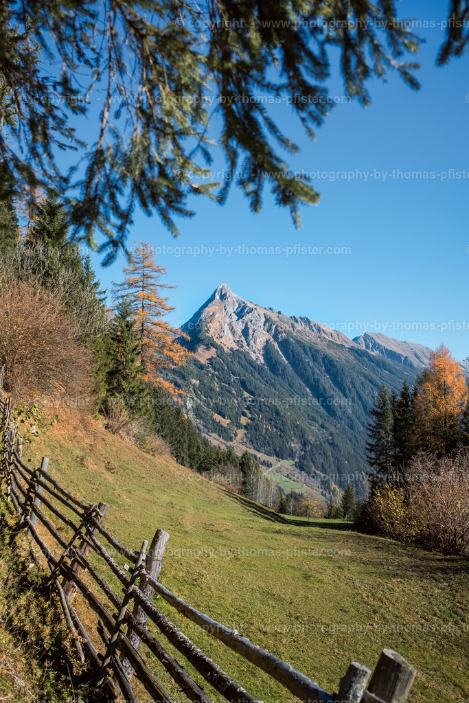 Laberg Herbst copyright  Thomas Pfister-19 | PHOTOGRAPHY BY THOMAS PFISTER