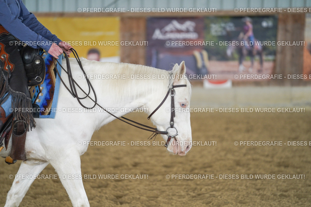 DSC04465 | Pferdegrafie