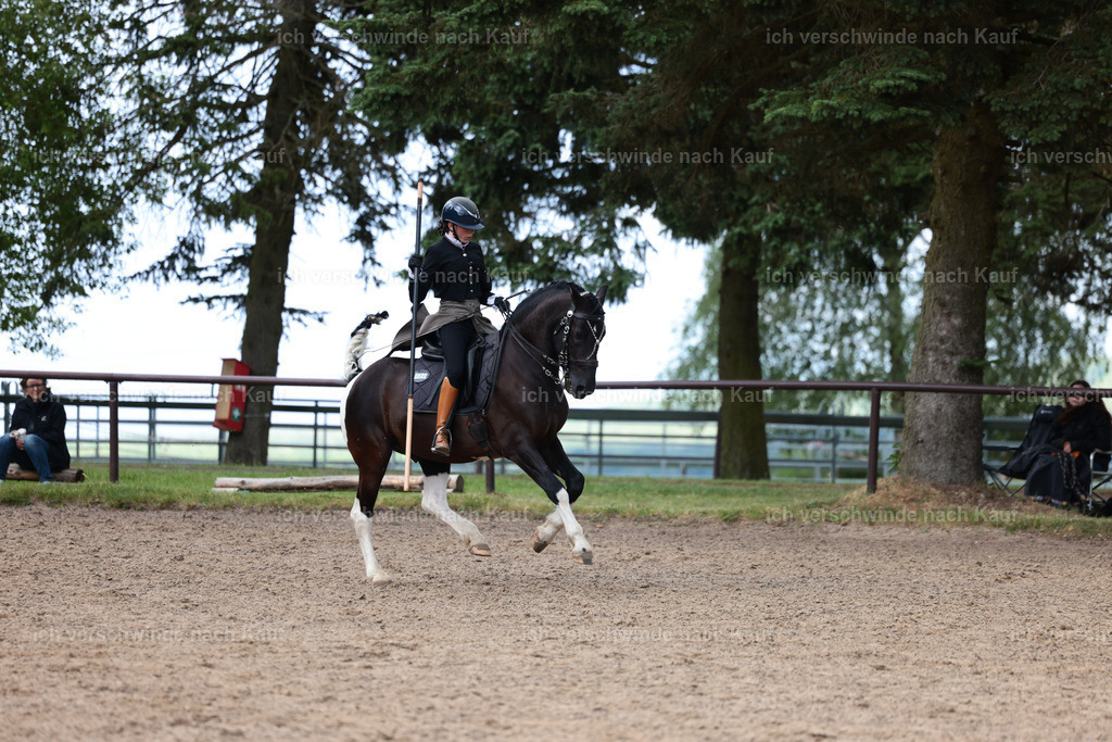 KlasseL_Stoibphotography_CAM23598.JPG | working equitationturnier fotograf videograf stoibphotography marixx film working equitation deutschland reitsport turnierfotografie eventfotografie equestrian events