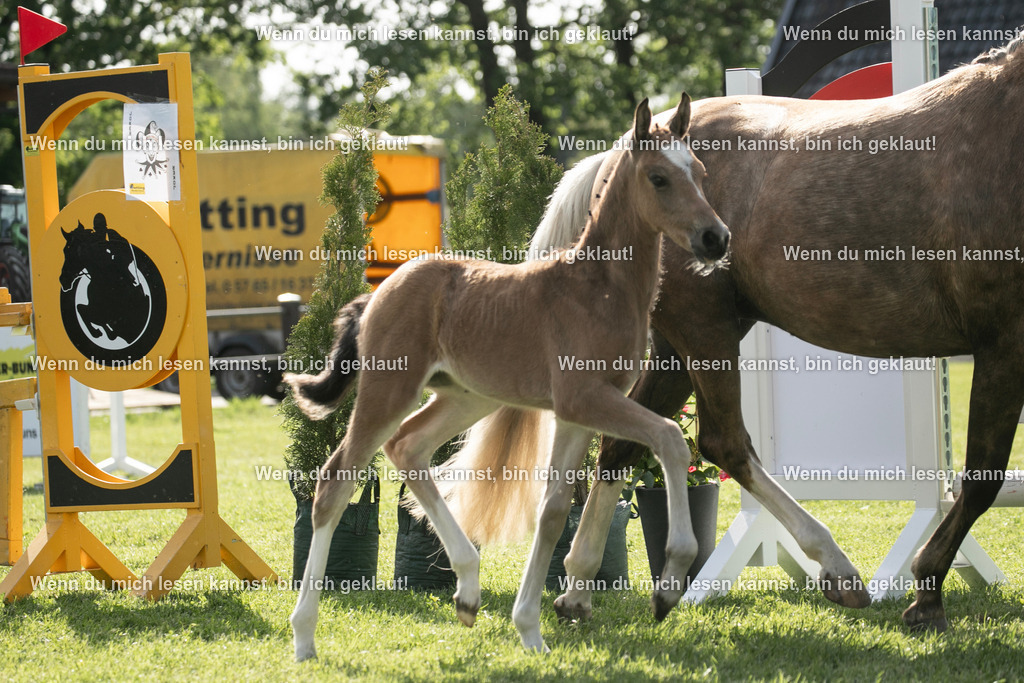 598A6969 | photographylinaismer - Realisiert mit Pictrs.com