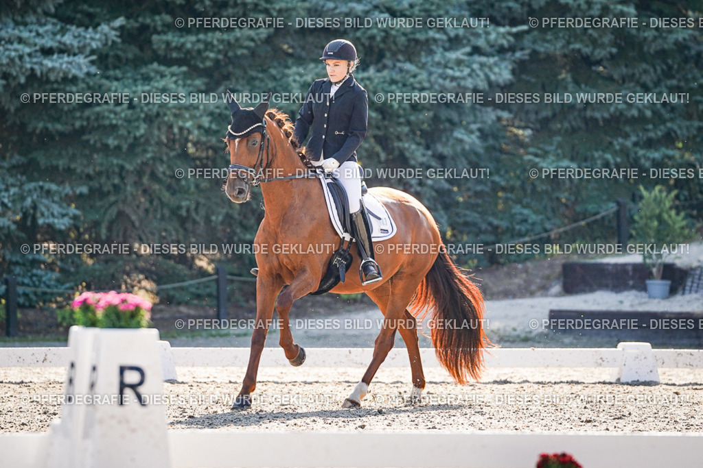 DSC09100 | Pferdegrafie