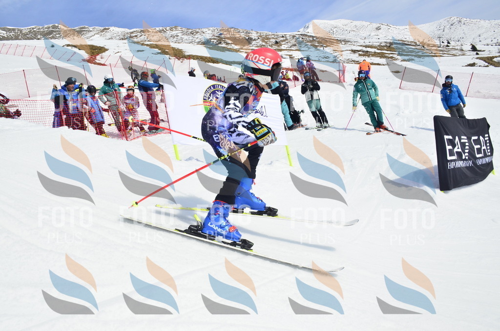 _ELE1872 | holidayphoto