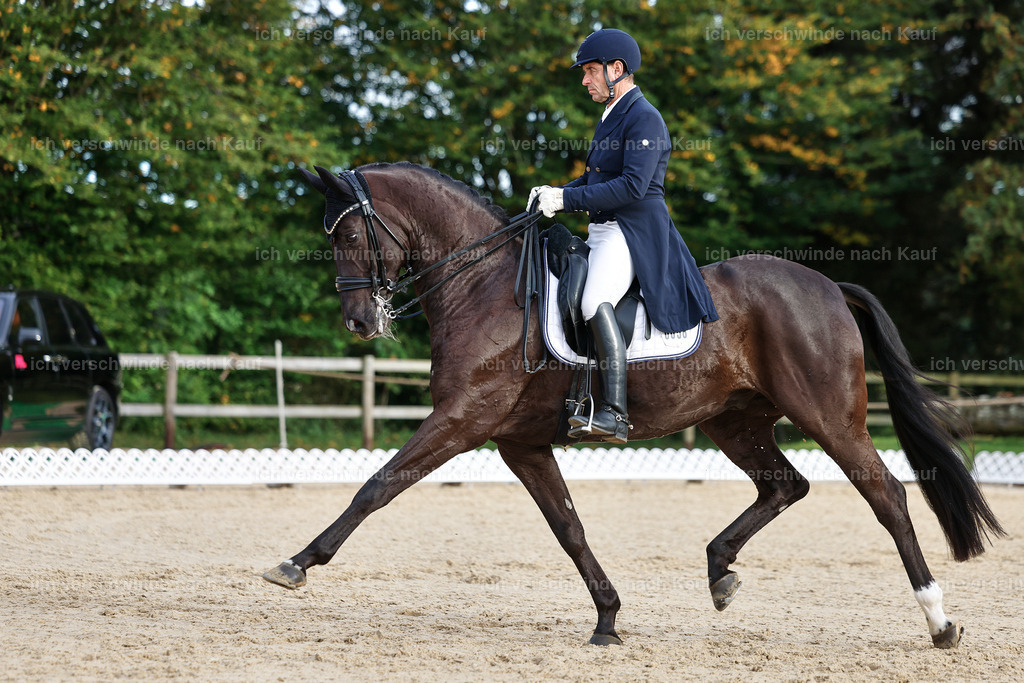 13-058-S___ -StoibPH-7005 | working equitationturnier fotograf videograf stoibphotography marixx film working equitation deutschland reitsport turnierfotografie eventfotografie equestrian events