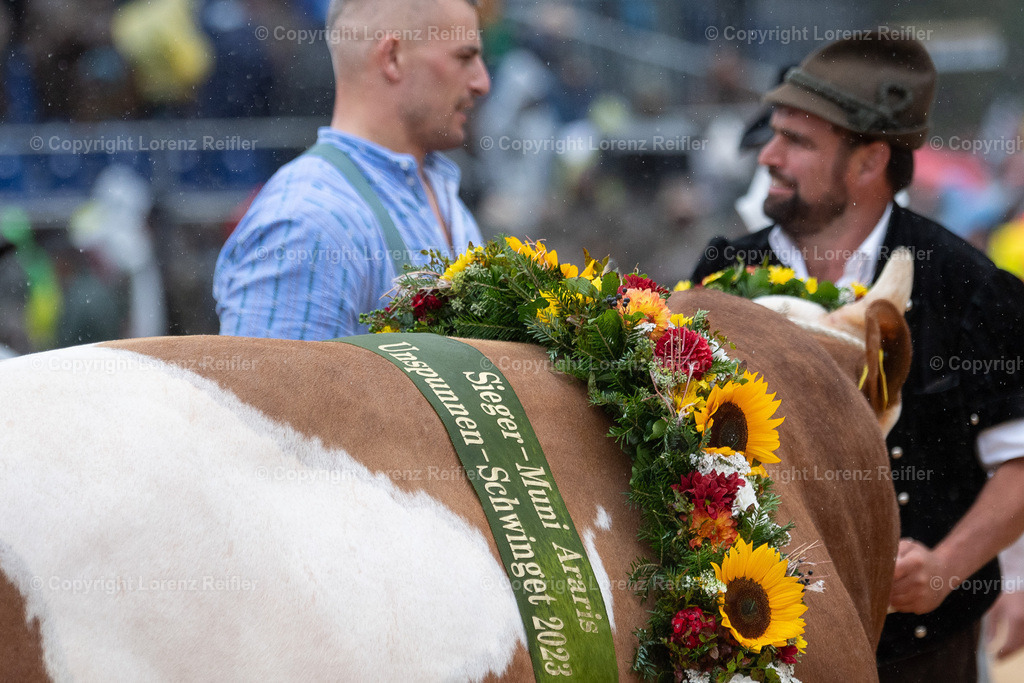 Schwingen -  Unspunnen 2023 | Interlaken, 27.8.23, Schwingen - Unspunnen.