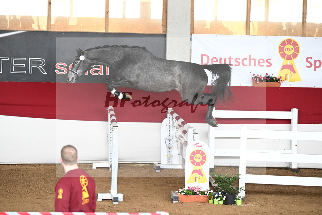 Kat-Nr. 50 Coralee v. Colman_Egetenmeier_9240598 | hf-fotografie - Realizzato con Pictrs.com