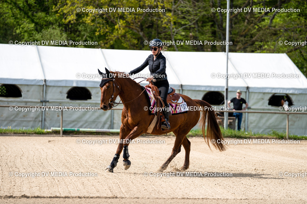 Heiligenwald Tag 2-893 | dv-media-shop - Realisiert mit Pictrs.com