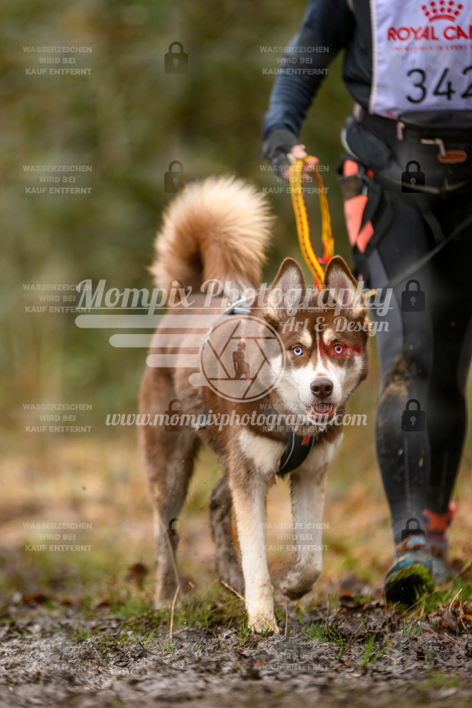 MompixPhotography_CDSM24_SA_CCS-232 | mompixphotography