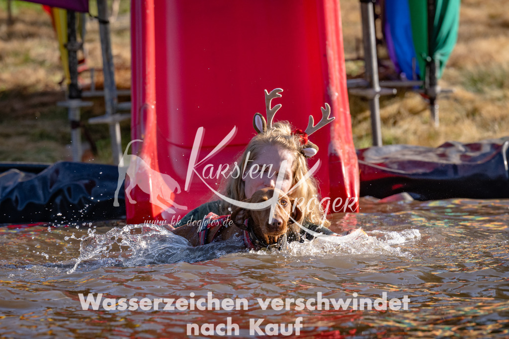 1736_ZZ91220 | kk-dogfotos