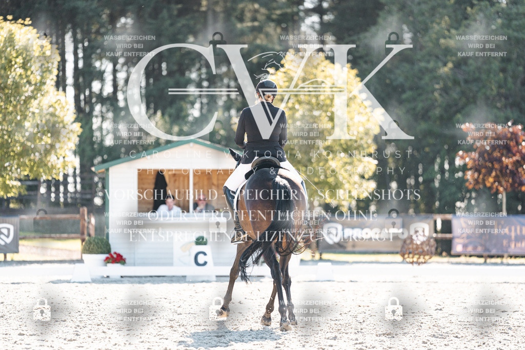 CK906353 | Turnierfotografie Pferdefotografie Trier Rheinland-Pfalz Pferdesport Reitsport Tierfotografie Sportfotografie Pferdevideo Pferdevideografie Equestrianvideography equestrianphotography  - Realisiert mit Pictrs.com