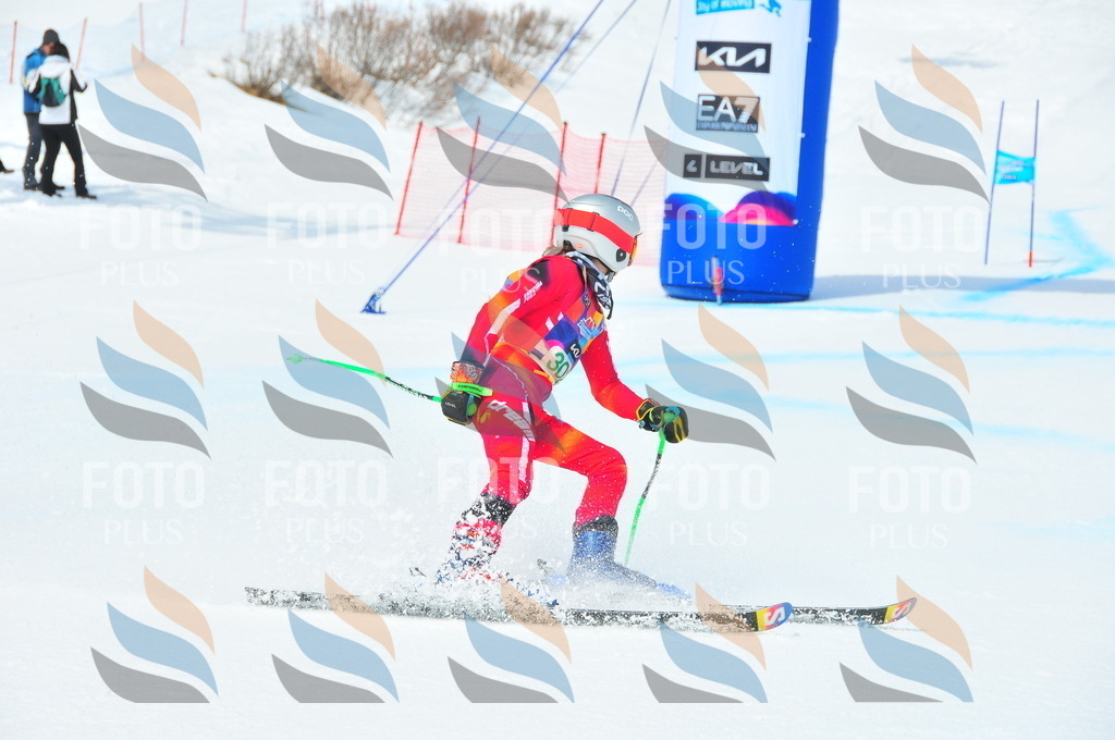 DSC_2813 | holidayphoto