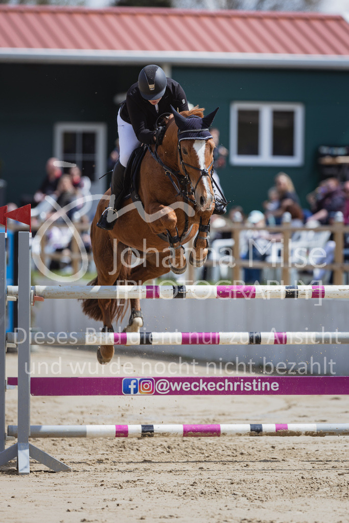 230501_SpengeW_M2St-182 | Deine schönsten Turniermomente als professionelle Fotos! Entdecke hochwertige Pferdesport-Fotografie im Online-Shop. Jetzt Fotos finden & bestellen!