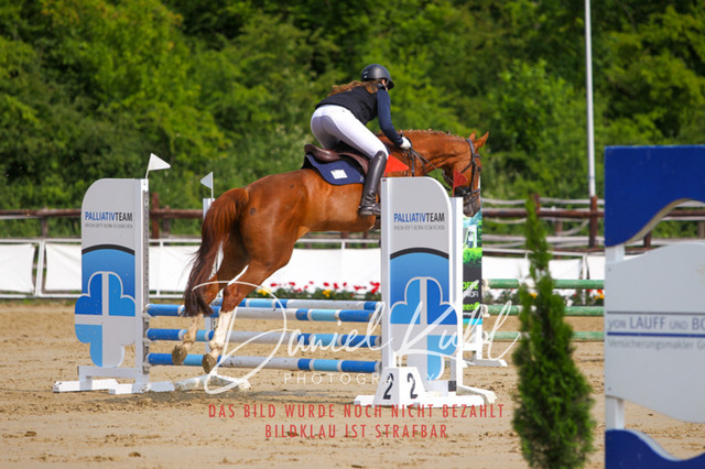 DKP41355 | Turniersportfotografie; Pferdefotografie; Dressurfotografie