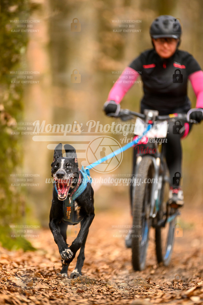 MompixPhotography_Habay2025_SA_Bike-116 | PayLife