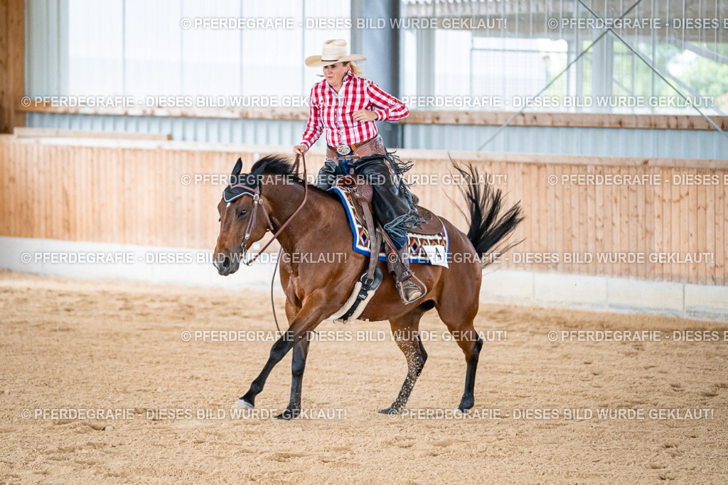 DSC08817 | Pferdegrafie