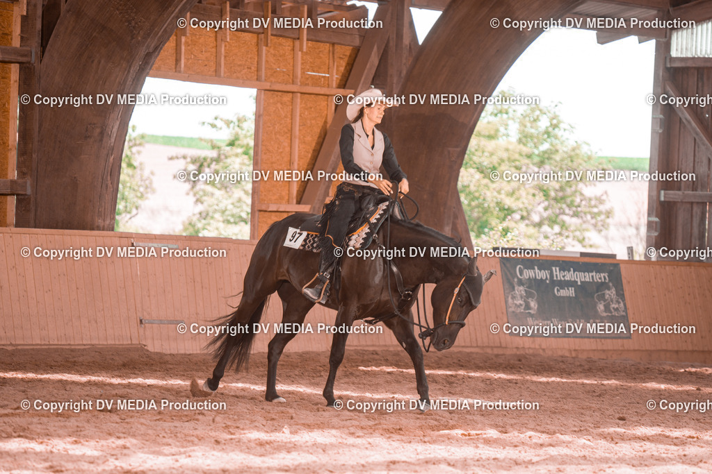 NE300596 | dv-media-shop - Realisiert mit Pictrs.com